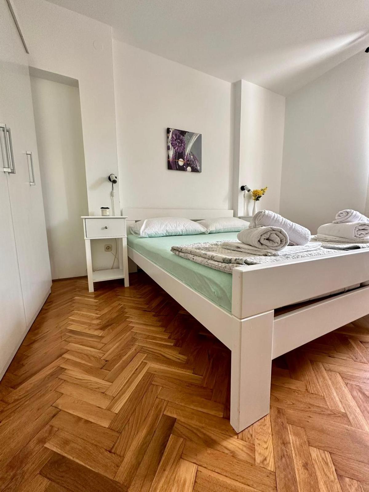 Delfin * Zadar