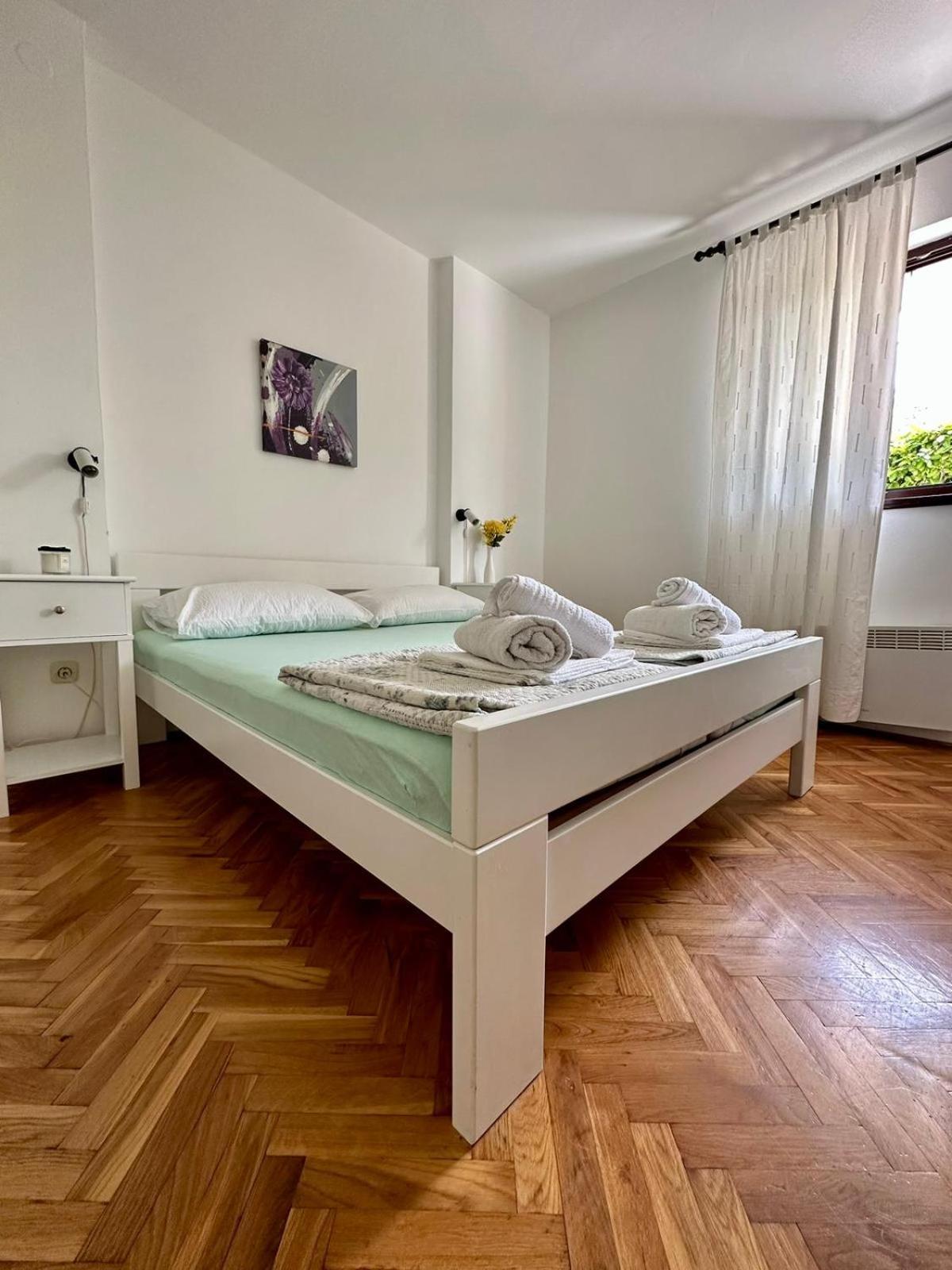 Delfin * Zadar